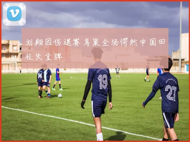 刘翔因伤退赛鸟巢全场愕然中国田径失金牌